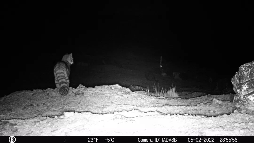 ÒÚÍòÏÈÉúMR¡¤(Öйú¼¯ÍÅ)¹Ù·½ÍøÕ¾