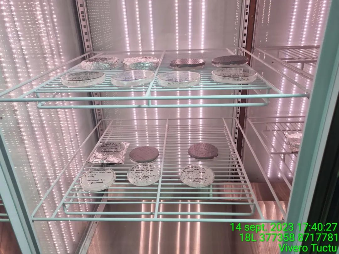 ÒÚÍòÏÈÉúMR¡¤(Öйú¼¯ÍÅ)¹Ù·½ÍøÕ¾