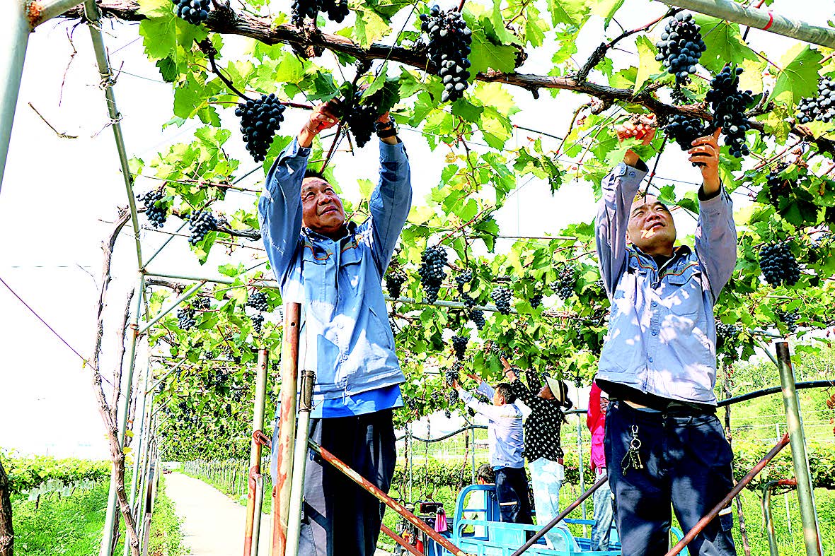 ��������MR��(�й�����)�ٷ���վ