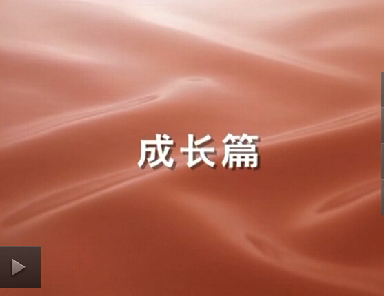 ��������MR��(�й�����)�ٷ���վ