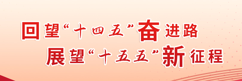 P020251202516620744048 P020251202516620744048